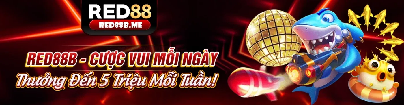 Đá Gà Philippines chuyên nghiệp